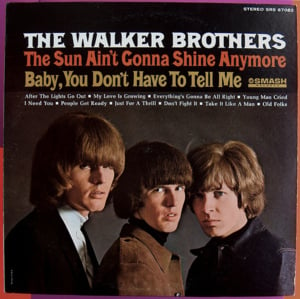 Don’t Fight It - The Walker Brothers