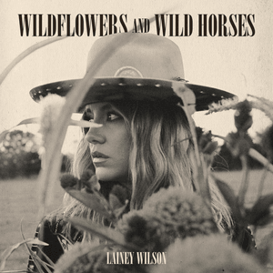 Wildflowers and Wild Horses (Single Version) - Lainey Wilson