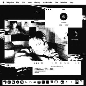 FIREWALL + VPN + TOR - ​whyalive