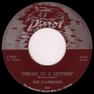 Dream Of A Lifetime - The Flamingos