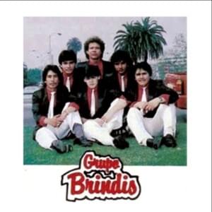 Cerritos San Luis Potosí - Grupo Bryndis