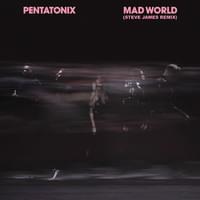 Mad World (Steve James Remix) - Pentatonix