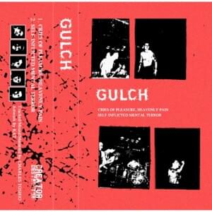 Self-Inflicted Mental Terror - Gulch