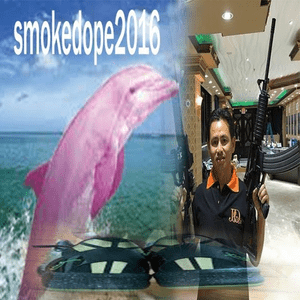 SMOKEDOPE ?PINK DOLPHIN ? - ​smokedope2016