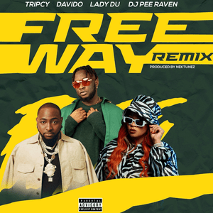 Freeway (Remix) - Tripcy, Lady Du, Davido & Nektunez (Ft. Dj Pee Raven)