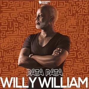 Pata Pata - Willy William