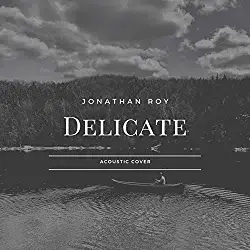 Delicate - Jonathan Roy