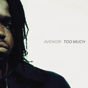 Too Much - Avenoir