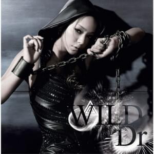 WILD - 安室奈美恵 (Namie Amuro)