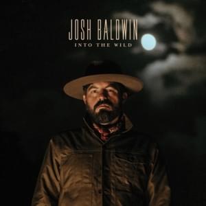 Into the Wild (Radio Version) - Josh Baldwin