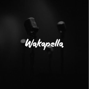 Wakapella - Waka Flocka Flame