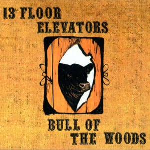 Scarlet and Gold - The 13th Floor Elevators