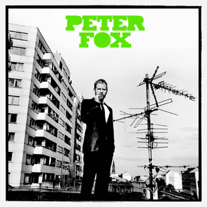 Ich Steine, du Steine - Peter Fox