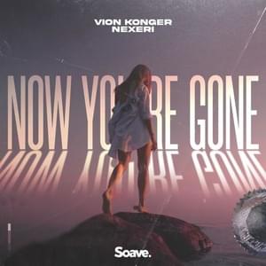 Now You’re Gone - Vion Konger & Nexeri