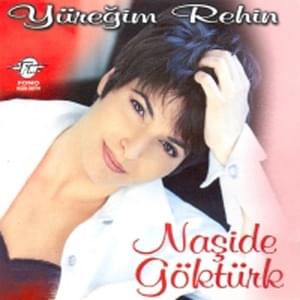 Anlamak İçin - Naşide Göktürk