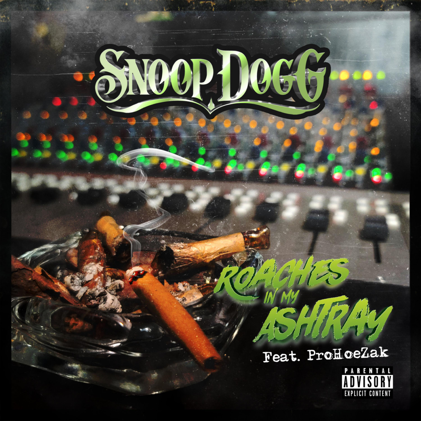 Roaches In My Ashtray - Snoop Dogg (Ft. ProHoeZak)