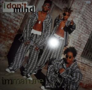 I Don’t Mind (The Vibe Mix) - Immature