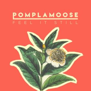 Feel It Still - Pomplamoose