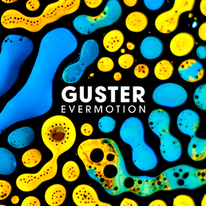 It Is Just What It Is - Guster