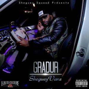 Sur le terrain - Gradur (Ft. Tylo Recto Verso & Wesley Sleazy)