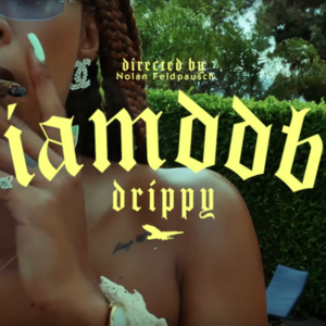 Drippy - IAMDDB