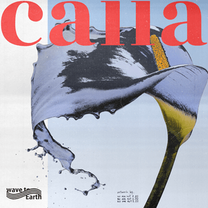 ​calla - ​wave to earth