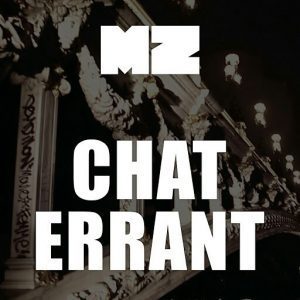 Chat errant - MZ