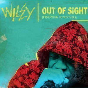 Out of Sight - Wiley