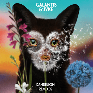 Dandelion (Carneyval Remix) - Galantis & JVKE