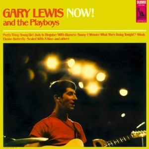 Sunny - Gary Lewis & The Playboys