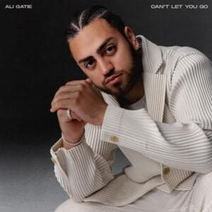 Can’t Let You Go - Ali Gatie