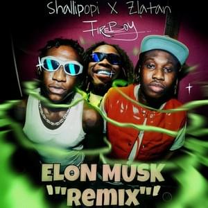 Elon Musk (Remix) - Shallipopi (Ft. Fireboy DML & Zlatan)