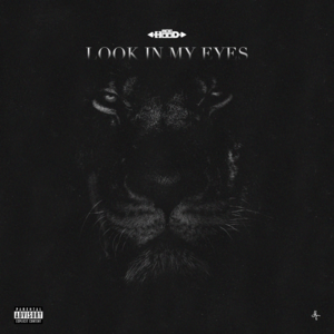 Look in My Eyes - Ace Hood