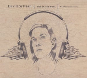 I Should Not Dare - David Sylvian