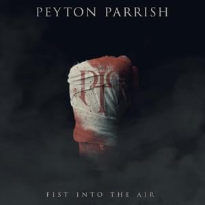 Fist Into the Air - Peyton Parrish