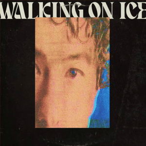 Walking On Ice - Last Dinosaurs