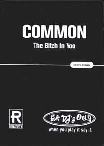 The Bitch in Yoo (Havoc version) - Common (Ft. Havoc)