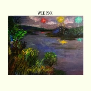 Playing Through a Dip Related Injury - Wild Pink