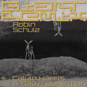 Giant (Robin Schulz Remix) - Calvin Harris & Rag'n'Bone Man