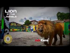 Lion in The Jungle - Jah Cure