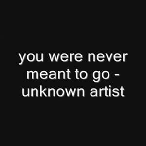 You Were Never Meant To Go - Unknown Artist