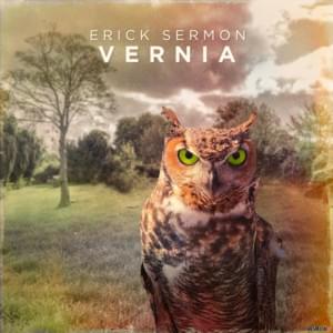 Go - Erick Sermon (Ft. Jeremy TryBishop Hicks, Kaelyn Kastle & No Malice)