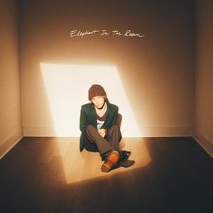 Elephant In The Room - Rowan Drake