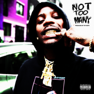 Not Too Many - Flipp Dinero