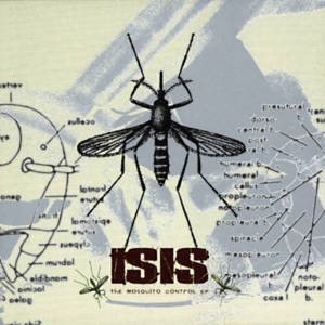 Hive Destruction - Isis