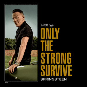 The Sun Ain’t Gonna Shine Anymore - Bruce Springsteen