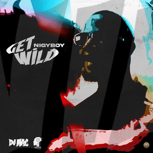 Get Wild - Nigy Boy, DJ Mac & CrashDummy