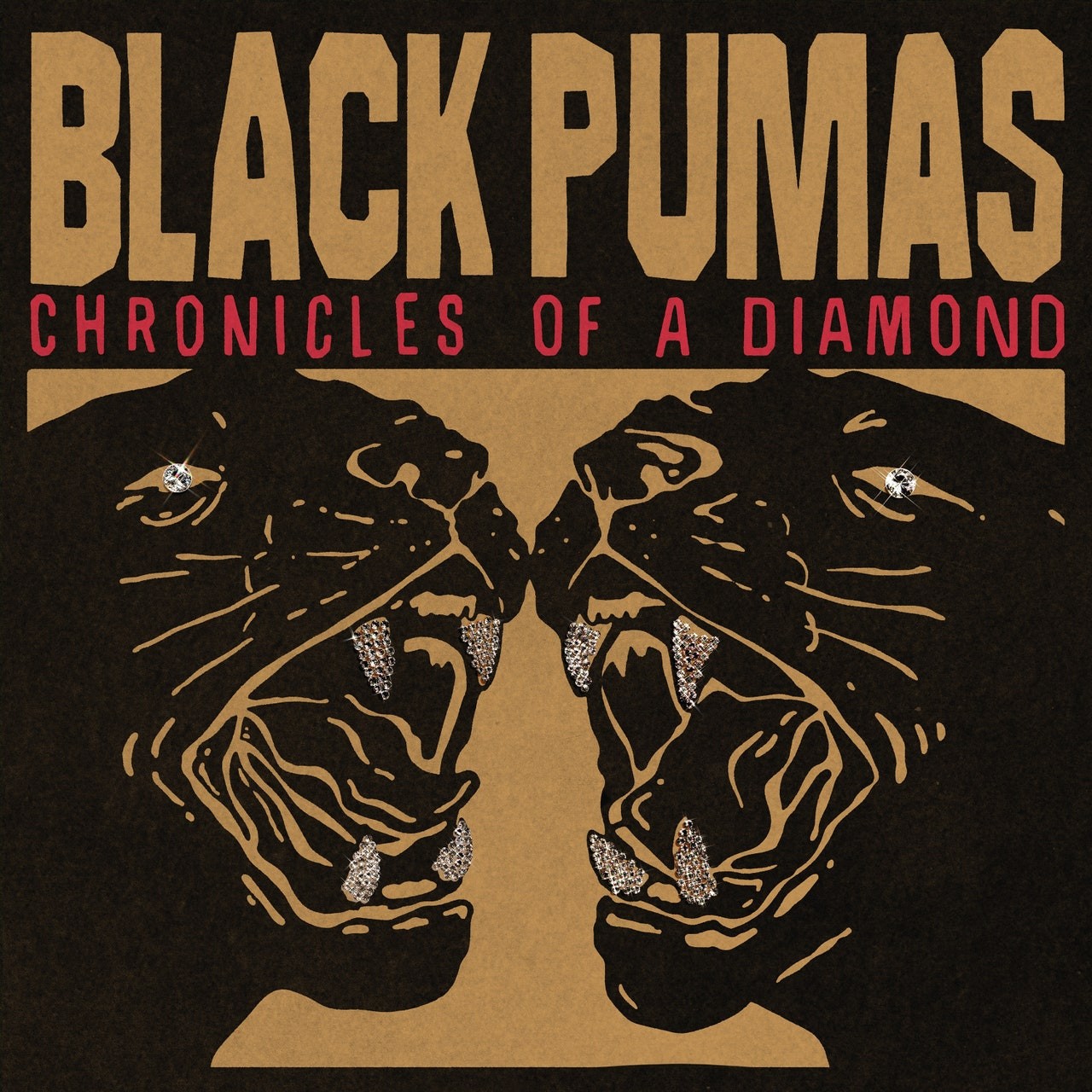 Rock and Roll - Black Pumas