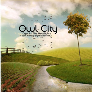 Deer in the Headlights - Owl City