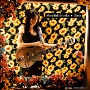 Bitch (Transistor Mix) - Meredith Brooks